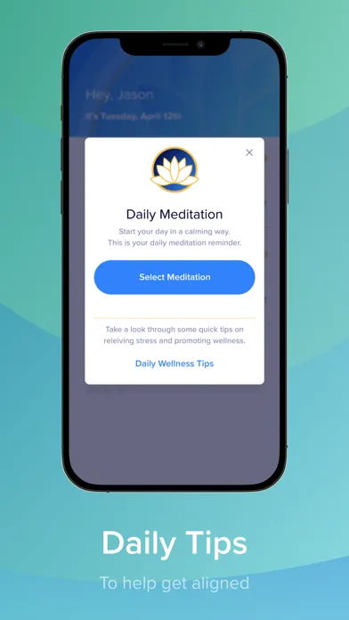MDI Align Screenshots